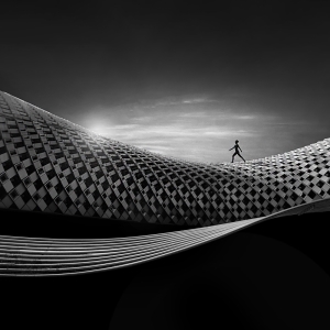 Salon.Photo Gold Medal